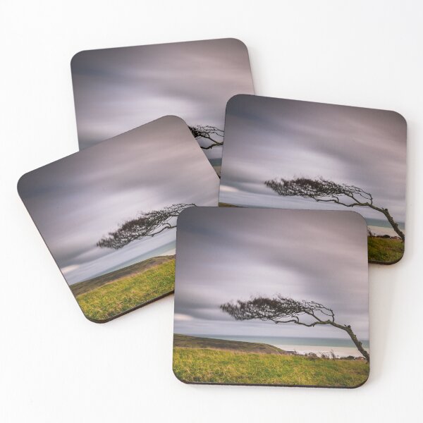 Item preview, Windswept tree on the South Downs designed and sold by willgudgeon.