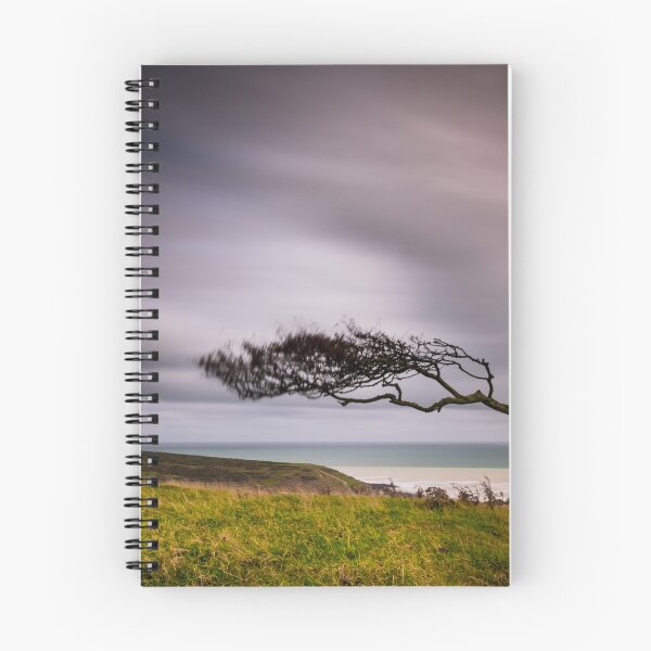 Item preview, Windswept tree on the South Downs designed and sold by willgudgeon.
