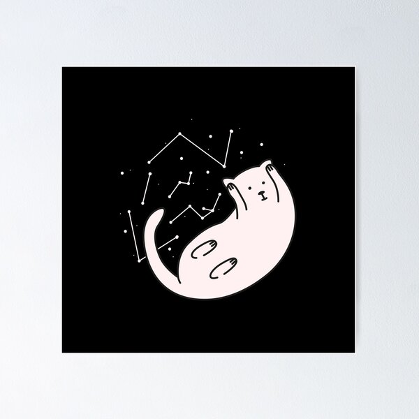 Space Cat Poster