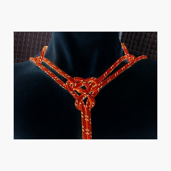Item preview, Shibari No6 designed and sold by jason21.