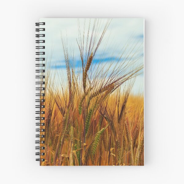 Item preview, Field of Barley designed and sold by John Murphy.