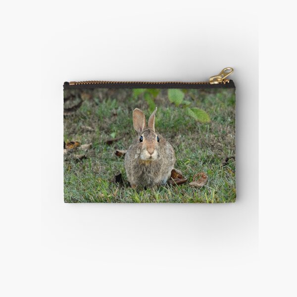 Item preview, Cottontail designed and sold by PatSeg Photos.