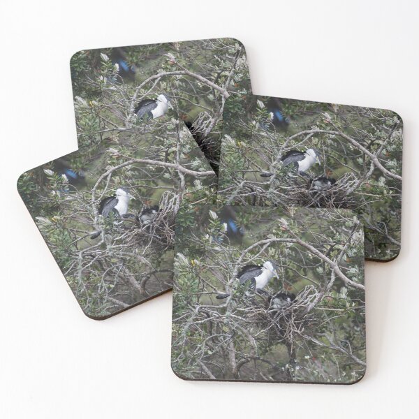 Item preview, Pied Shag Nesting Grounds designed and sold by LizardSpirit.