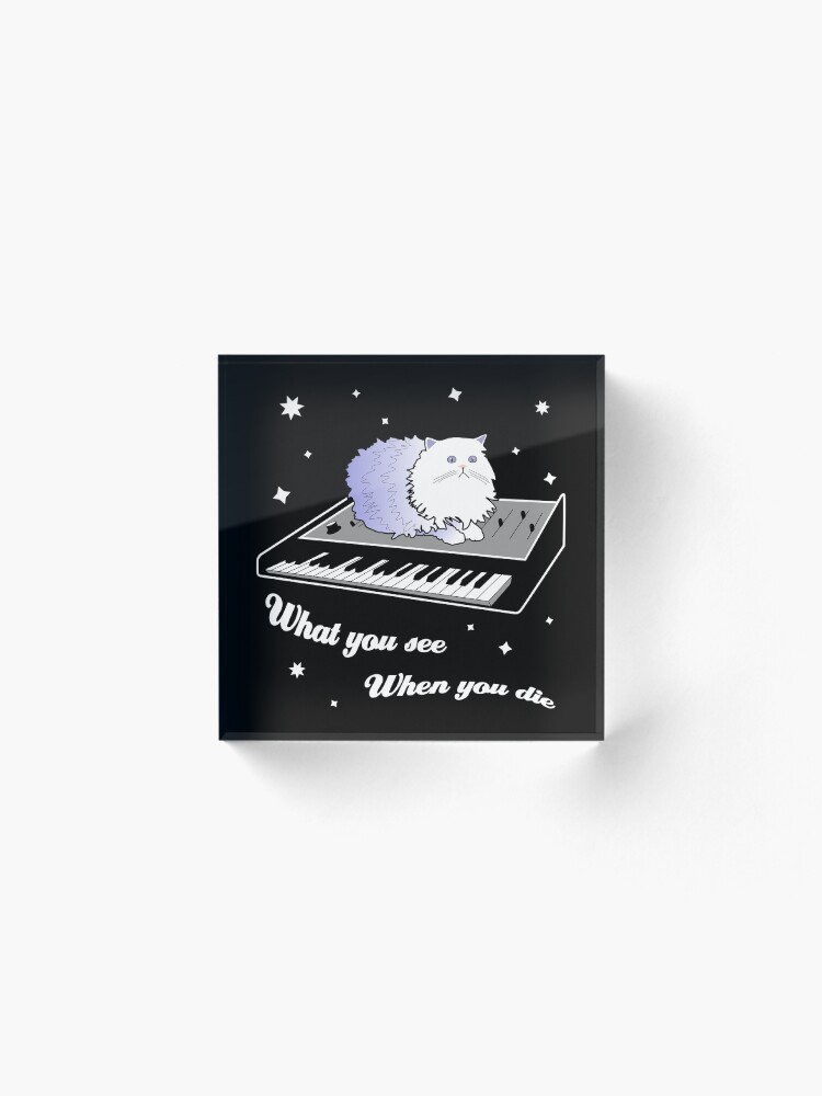 Alternate view of Cat on a Keyboard in Space Acrylic Block
