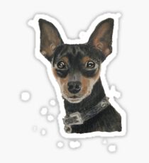 Miniature Pinscher Sticker