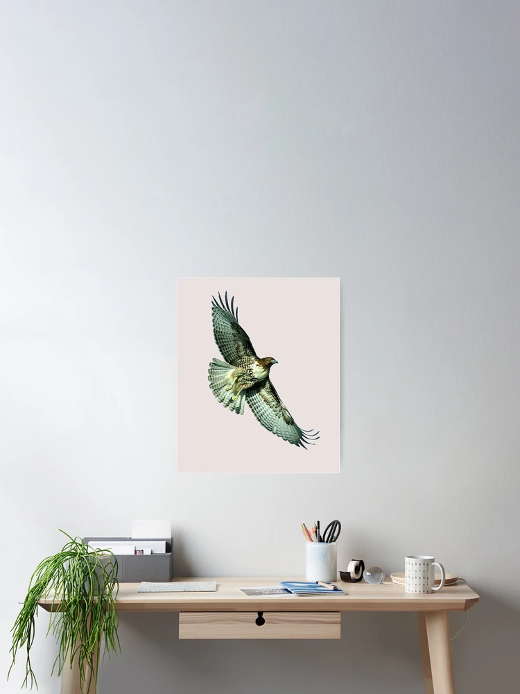 Thumbnail 2 of 3, Poster, Soaring Hawk designed and sold by digitalbarn.