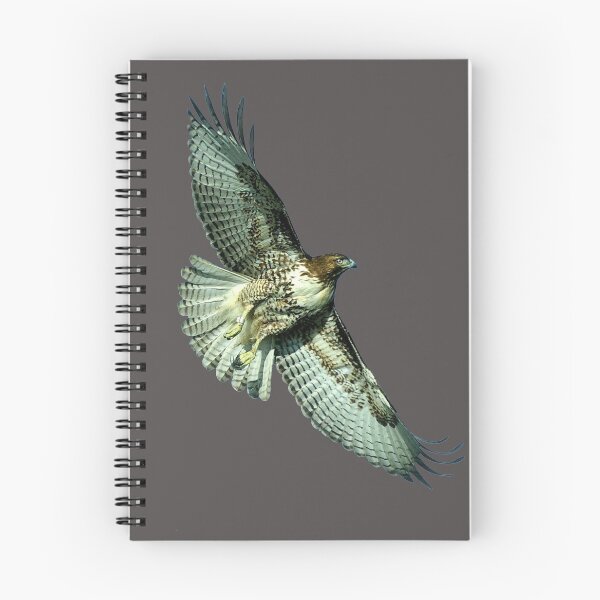 Item preview, Soaring Hawk  designed and sold by digitalbarn.
