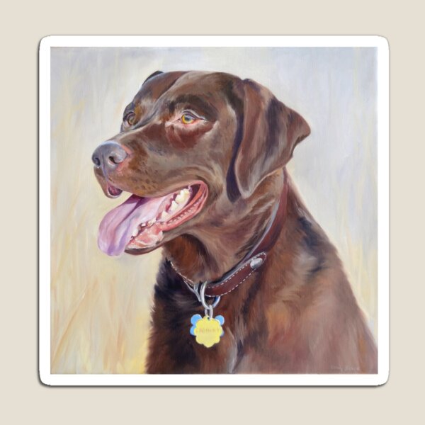 Chocolate Lab Portrait Magnet