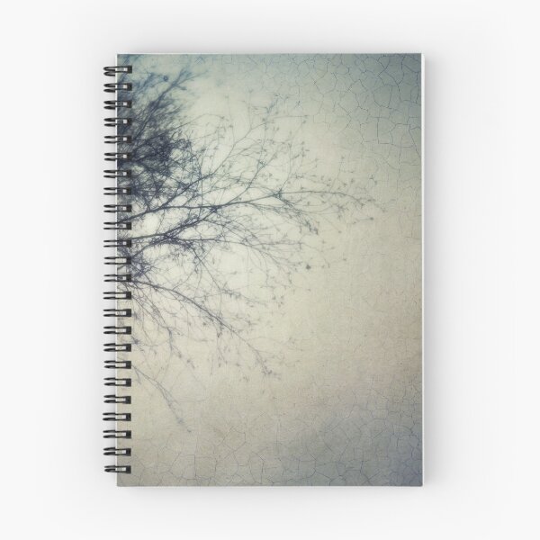 Item preview, Frangible designed and sold by Priska Wettstein.