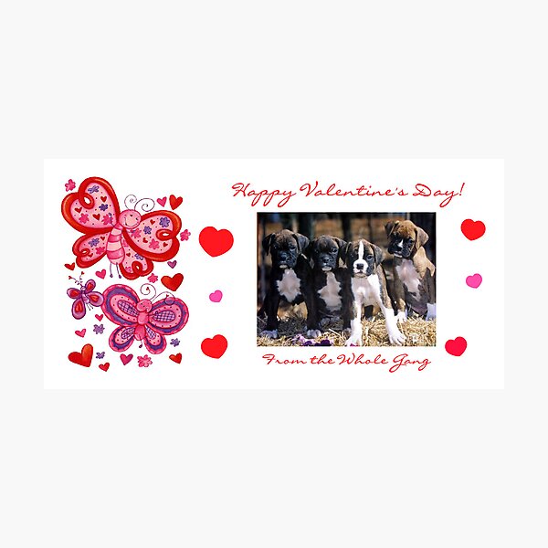 Item preview, Boxer Valentines designed and sold by Janet  L. Buehler.