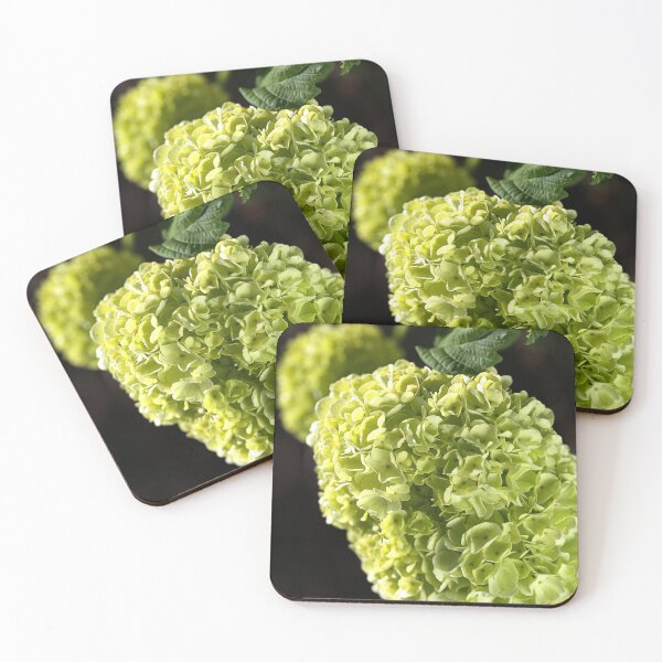 Item preview, Snowball Flowers Naturally Green designed and sold by Joy Watson - Natural Light Photography .