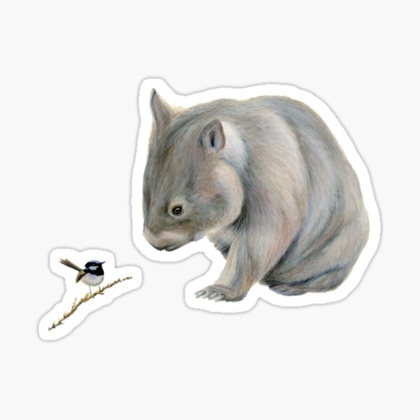 Vista previa del artículo con la obra «Happy Wombat y Wren», diseñado y vendido por RachaelCurryArt.