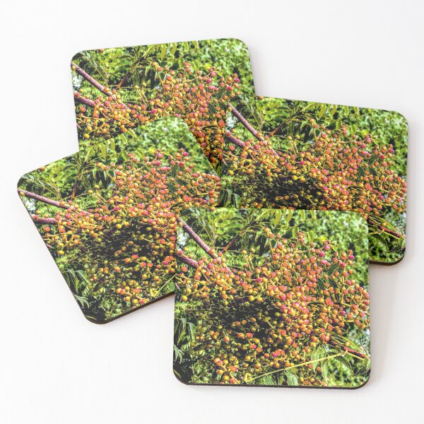 Item preview, Tree Berries in the Fall designed and sold by William E Lopez.