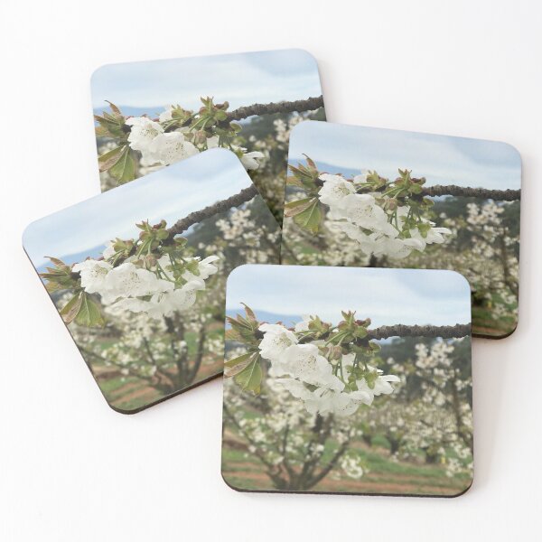 Item preview, White blossoms designed and sold by JPennicott.