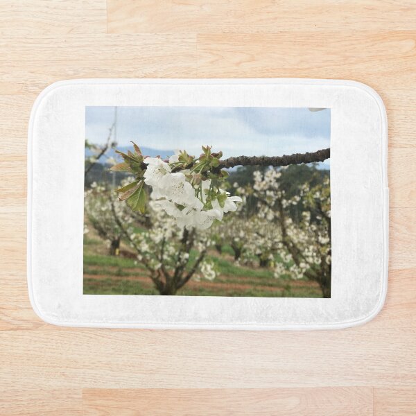 Item preview, White blossoms designed and sold by JPennicott.