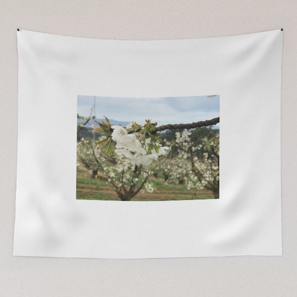 Item preview, White blossoms designed and sold by JPennicott.