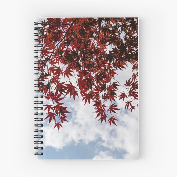 Item preview, Japanese Maple Red Lace - Horizontal View Downwards Left designed and sold by Georgia Mizuleva.