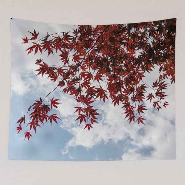 Item preview, Japanese Maple Red Lace - Horizontal View Downwards Left designed and sold by Georgia Mizuleva.