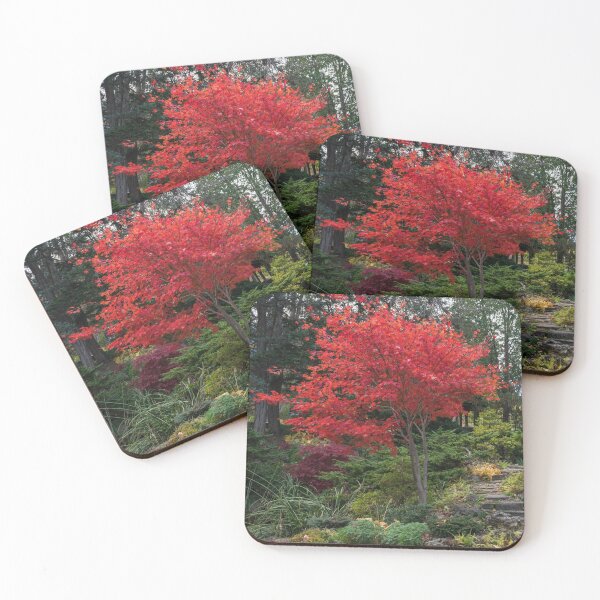 Item preview, Dainty Red Beauty - Glorious Japanese Maple by the Path designed and sold by Georgia Mizuleva.