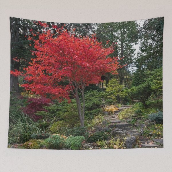 Item preview, Dainty Red Beauty - Glorious Japanese Maple by the Path designed and sold by Georgia Mizuleva.