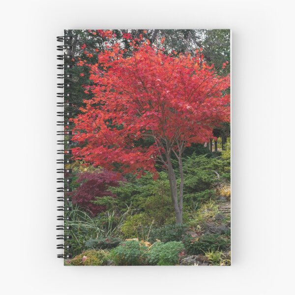 Item preview, Dainty Red Beauty - Glorious Japanese Maple by the Path designed and sold by Georgia Mizuleva.