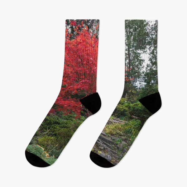 Item preview, Dainty Red Beauty - Glorious Japanese Maple by the Path designed and sold by Georgia Mizuleva.