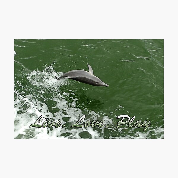 Live, Love, Play Photographic Print