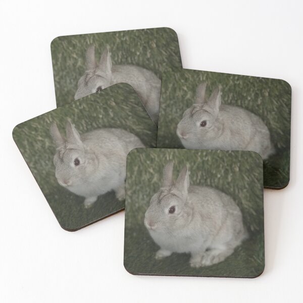 Item preview, Sylvia Bunny designed and sold by JPennicott.
