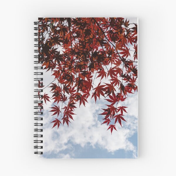 Item preview, Japanese Maple Red Lace - Horizontal View Downwards Right designed and sold by Georgia Mizuleva.