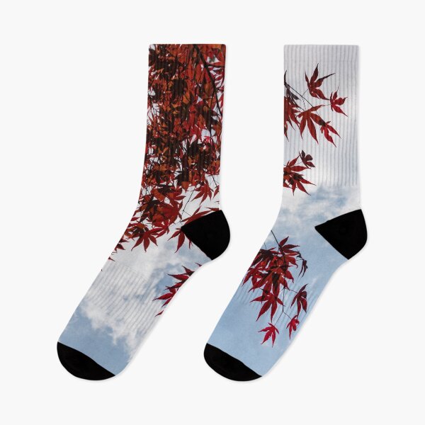 Item preview, Japanese Maple Red Lace - Horizontal View Downwards Right designed and sold by Georgia Mizuleva.