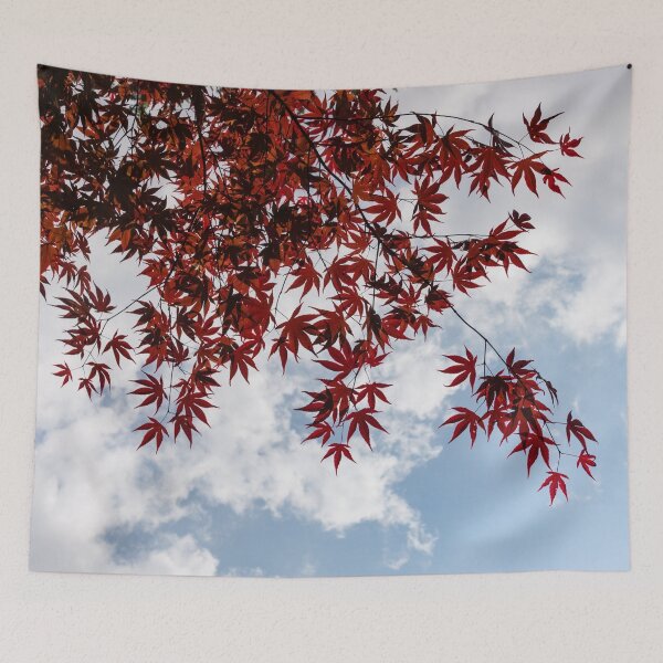 Item preview, Japanese Maple Red Lace - Horizontal View Downwards Right designed and sold by Georgia Mizuleva.