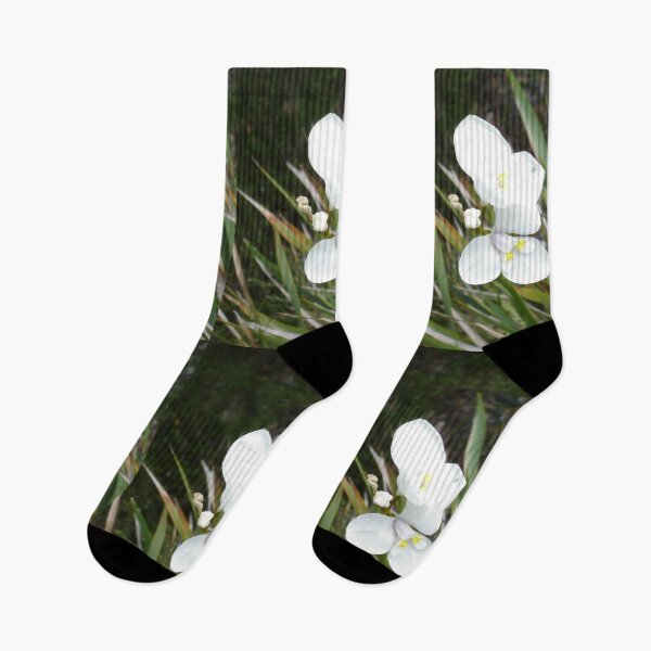 Item preview, Tassie Wildflower designed and sold by KazM.