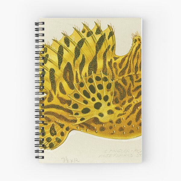 Item preview, Striped angler fish (Antennarius striatus) designed and sold by anmm.