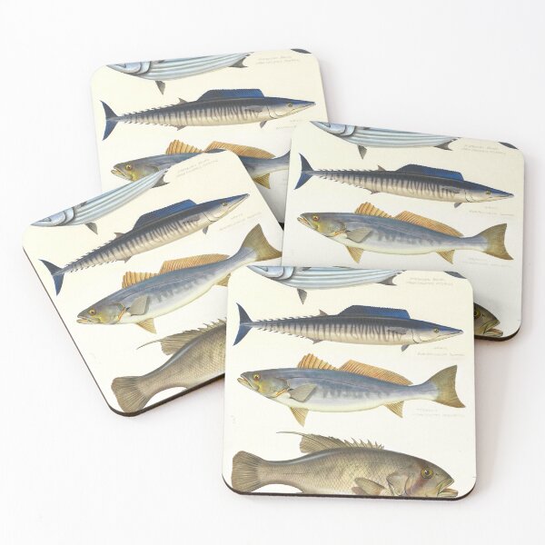 Item preview, Australian bonito ,Wahoo , Teraglin , Westralian jewfish  designed and sold by anmm.