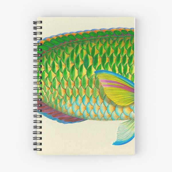 Item preview, Parrot fish (Scarus fasciatus) designed and sold by anmm.