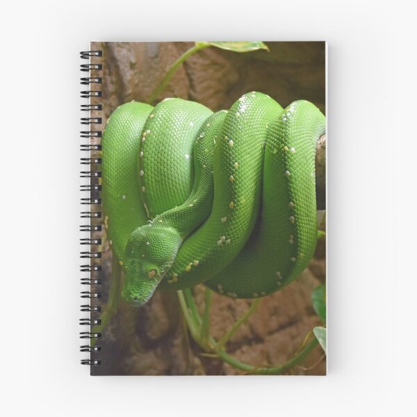 Item preview, Green Snake  Cotswold Wildlife Park UK designed and sold by lynn carter.