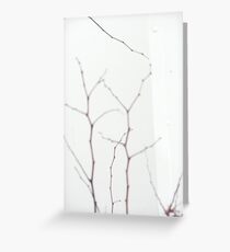 Bare Branches Greeting Card