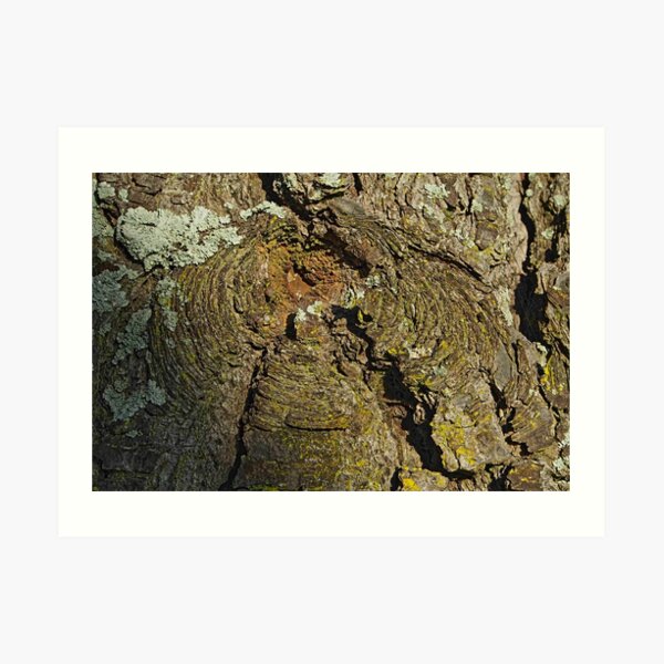 Barkscape: volcanicus Art Print