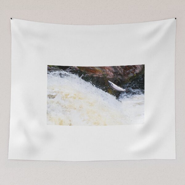 Item preview, Copy of leaping fish salmon designed and sold by chanonry.