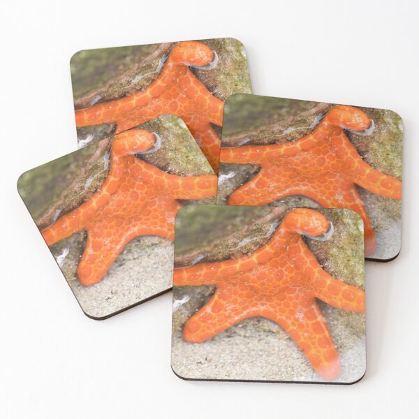 Item preview, Five Arms Form the Star on this Bright Orange Starfish designed and sold by imaginethis.
