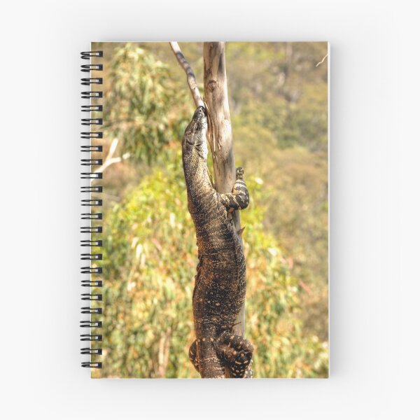 Artikelvorschau, Gumtrees und Goannas entworfen und verkauft von Peter Hocking.