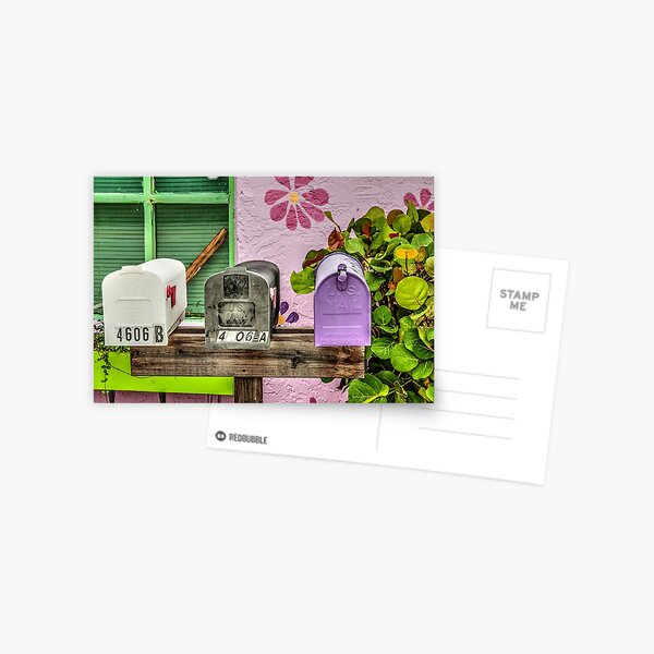 You've Got Snail Mail! Postcard
