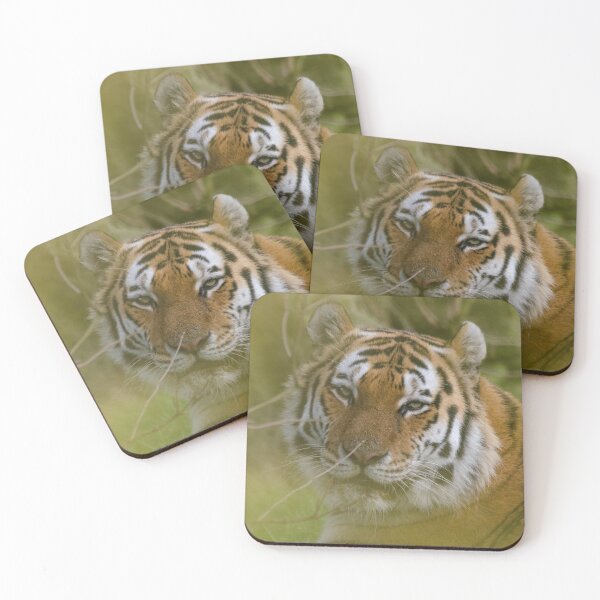 Item preview, Smiling tiger posing designed and sold by photosbygemmad.