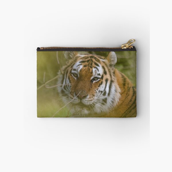 Item preview, Smiling tiger posing designed and sold by photosbygemmad.