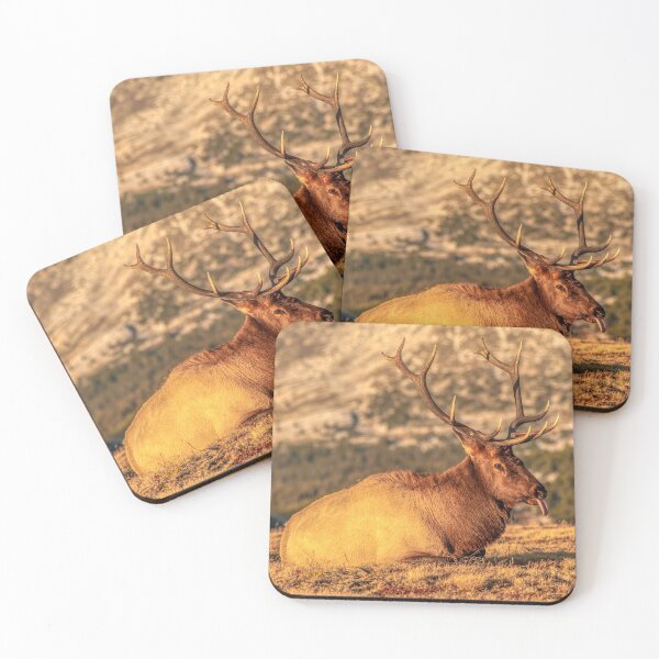 Item preview, A Nap At Sunset Above It All designed and sold by Gregory J Summers.