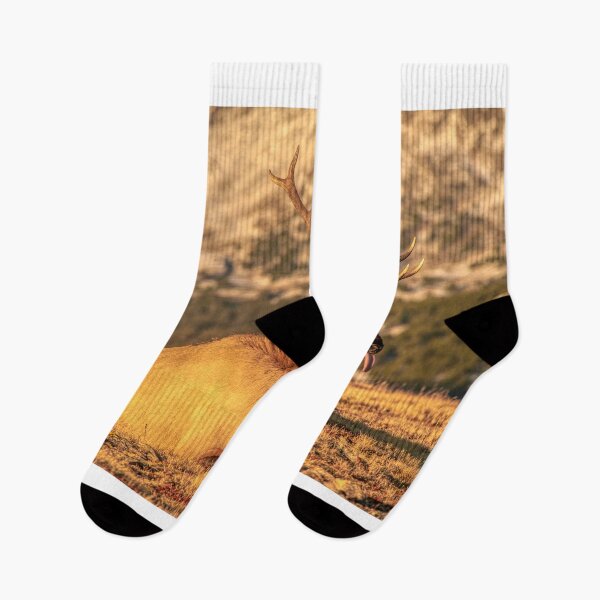 Item preview, A Nap At Sunset Above It All designed and sold by Gregory J Summers.