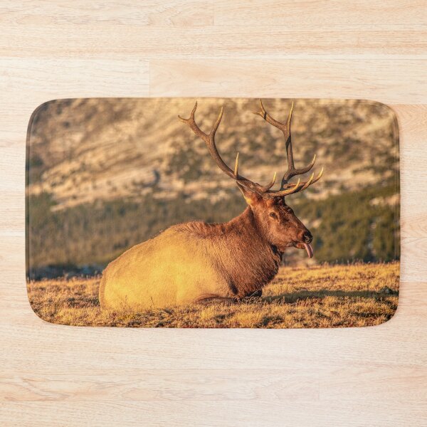 Item preview, A Nap At Sunset Above It All designed and sold by Gregory J Summers.