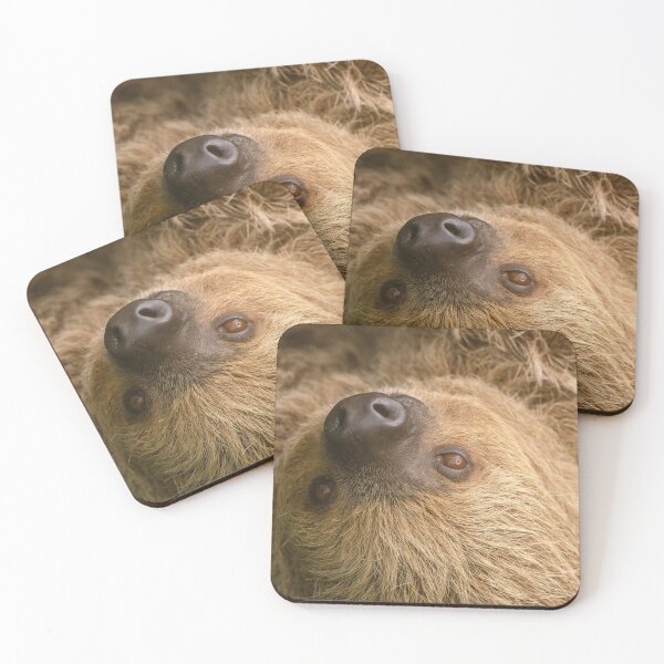 Item preview, Sloth portrait designed and sold by photosbygemmad.