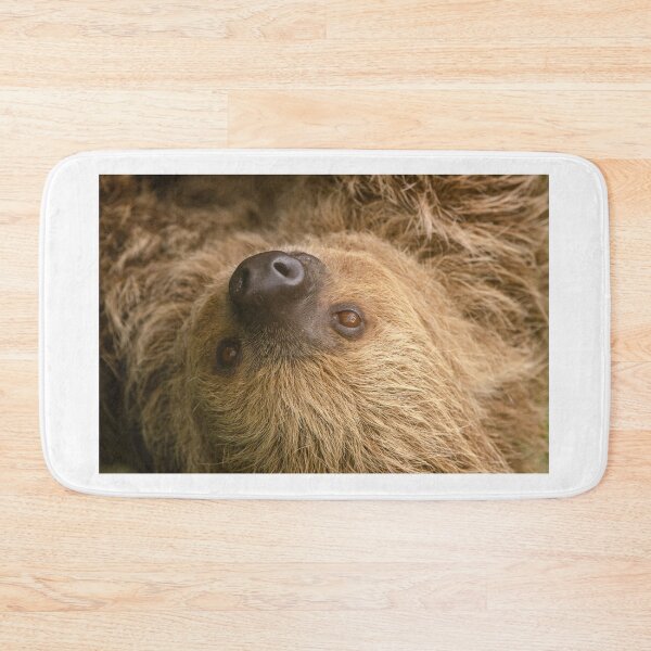Item preview, Sloth portrait designed and sold by photosbygemmad.