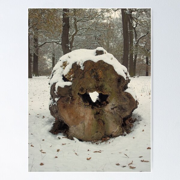 Item preview, Tree stump designed and sold by rualexa.